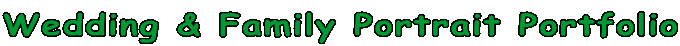 Wedding Portfolio